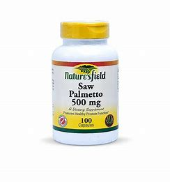 saw-palmetto